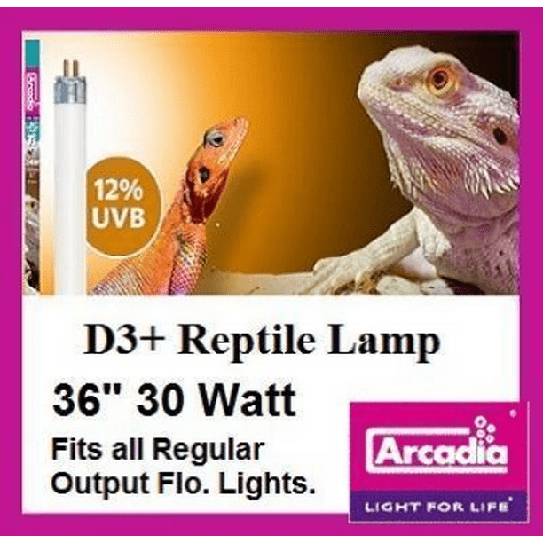 Arcadia D3 12 Uvb T8 Bulb 36 Com Arcadia D3 12 Uvb T8 Bulb 36, 36 Inch Uvb Light Fixture T5