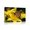 D, variant on XaaKee Canvas Wall Art Amber Butterfly Glow Botanical Wall Art Prints Inner Framed 18*12Inch