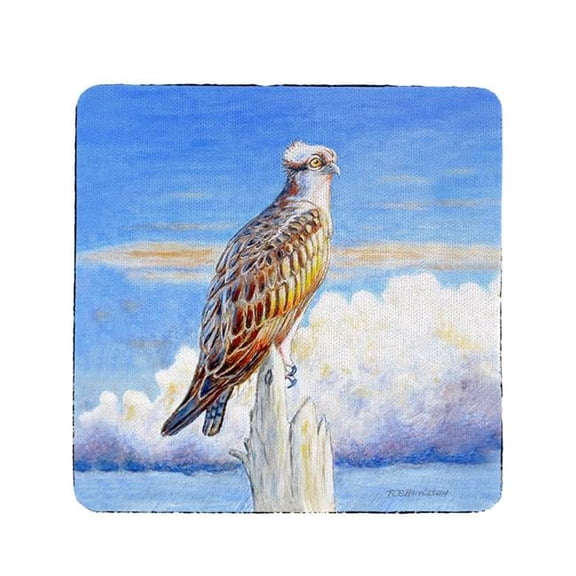 Betsy Drake CT1109 Osprey Storm Coaster - Set of 4