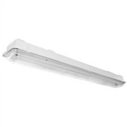 AFX Lighting, Inc. 2 Light Strip light