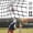 10 * 14FT, variant on Easy Installation Baseball Hitting Net with Rope and Carabiners, Heavy Duty Backstop Net for Baseball Softball, Durable Sports Netting for Basketball Soccer Lacrosse Hockey Practice.