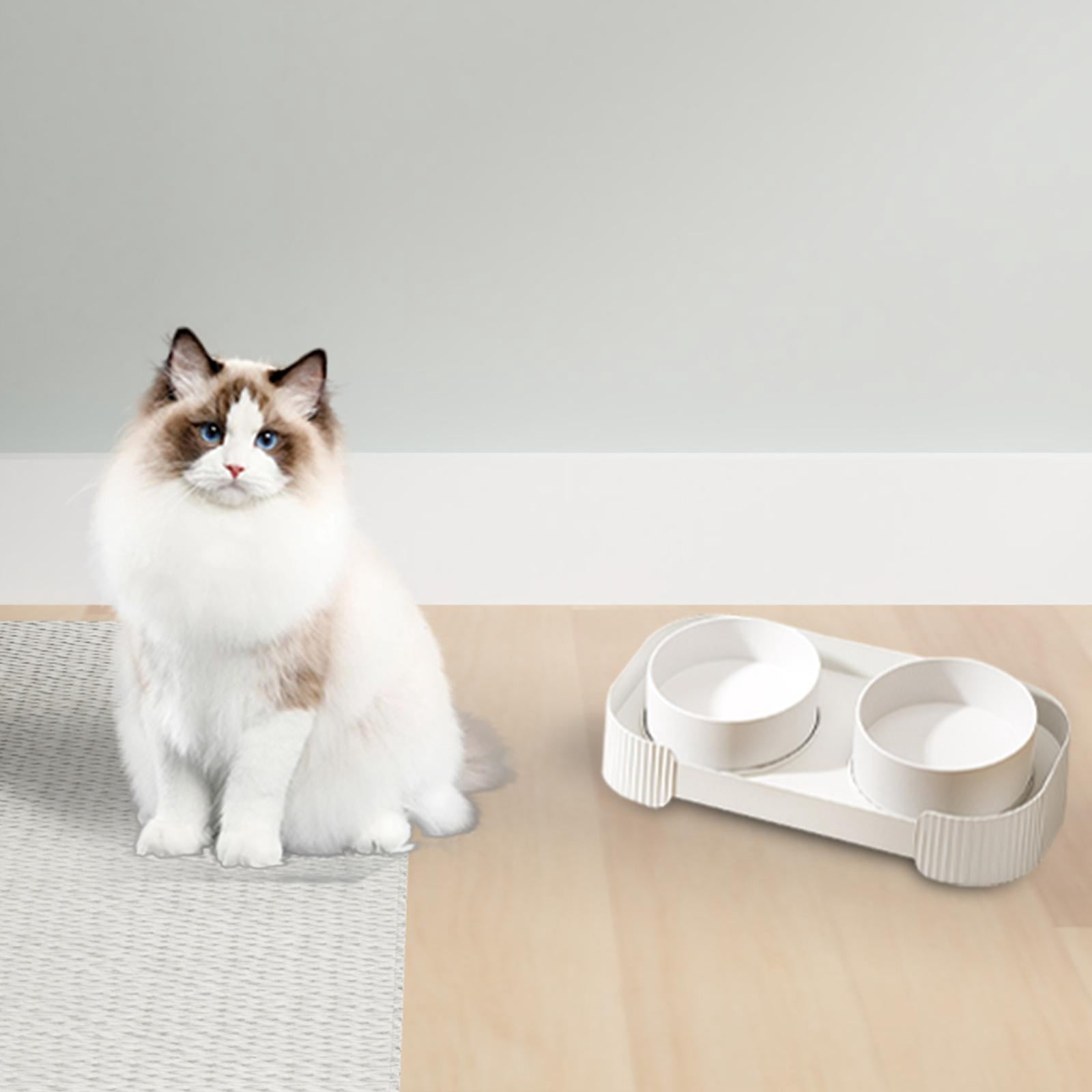 Fzaqwen Ceramic Elevated Cat Bowls Double Cat Food and Water Bowl Dishes for Indoor Cats white