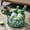 Green, variant on Mefallenssiah Picnic Basket, Food Basket, Portable Storage Basket, Fruit Snack Dry Fruit Basket, Wine Drink Ice Bucket, for Home, Camping, Fishing