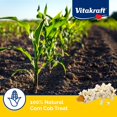 thumbnail image 4 of Vitakraft Mini-Pop Friandise pour Oiseaux Corn Cob, 4 of 8