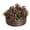 Natural wood color-1PC, variant on Studyset Round Metal Raised Garden Bed Kit, 2 x 1FT Galvanized Planter Boxes with Safety Edge, Rustproof, Open Bottom, Metal Garden Bed Kit for Vegetables, Fruits, Flowers