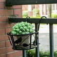 Zauma Clearance Flower Pots Planter Metal Art Hanging Basket Flower Pot