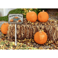 thumbnail image 3 of Eveokoki Fall Decorations for Home Outdoor, 12"x8" Decorative Garden Stakes with Pumpkin Patch Sign Fall Decor, Metal Yard Sign for Outside Garden Yard Lawn Patio Backyard Porch Decorations, 3 of 6