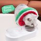 thumbnail image 2 of 2 piezas de collar cónico ajustable para gatos, collar de recuperación suave para gatos, lindos collares isabelinos para gatos, cono de cuello para mascotas para gatitos y perros pequeños, 2 of 5