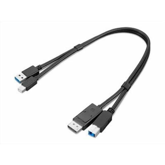 Lenovo 4X91D11453 1.41 ft. Think Station USB-A 3.0 To DP & USB-B 3.0 Dual Head Cable - Black