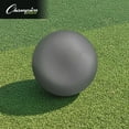 thumbnail image 5 of Champion Sports Iron Shot Put, Silver, 4K, 5 of 5