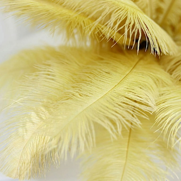 BalsaCircle 12 Pieces 13-15 Natural Authentic Ostrich Feathers
