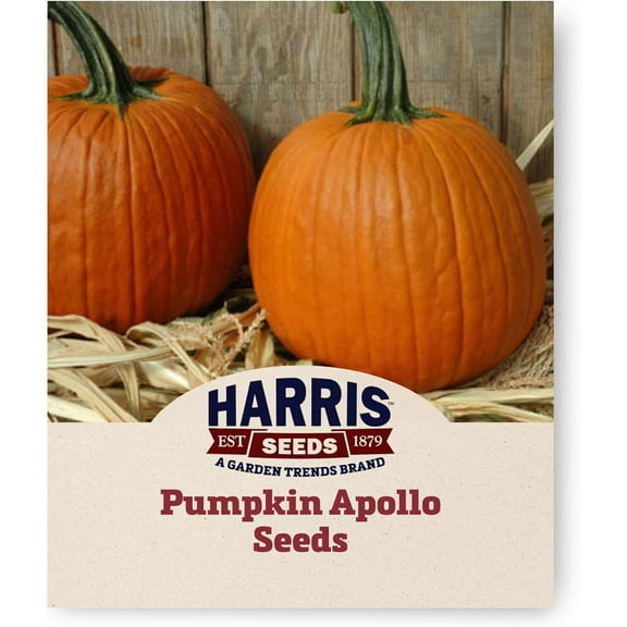 Harris Seeds Pumpkin Apollo Non-GMO Vegetable - 250 Seeds