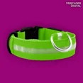 thumbnail image 5 of Collar Ajustable Luz Led Perro Gato Luminoso Paseo Nocturno, 5 of 5