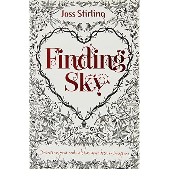 Pre-Owned Finding Sky (Paperback) 0192792954 9780192792952