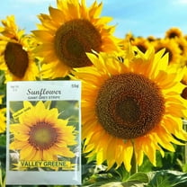 Valley Greene 2g Sunflower Seeds–Giant Grey Stripe:2CT