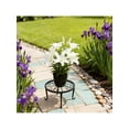 thumbnail image 2 of 4-Piece High-Quality Metal Plant Stand Set - Rust-Proof Wrought Iron Single-Tier Circular Planter Stand for Indoor/Outdoor Balcony & Garden (Heavy-Duty Decor for Plant Enthusiasts), 2 of 11