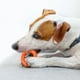 thumbnail image 4 of Anillo de juguete para morder para perros de caucho Natural y duradero, juguete para masticar y limpiar los dientes para mascotas (naranja), 4 of 5