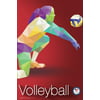 USA Olympic Team Rio 2016 Volleyball Sports Poster 12x18 inch