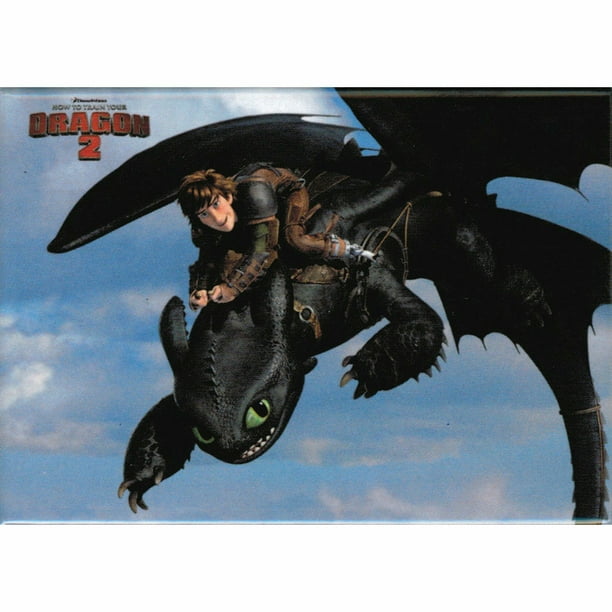 How To Train Your Dragon 2 Hiccup and Toothless Dragon Rider