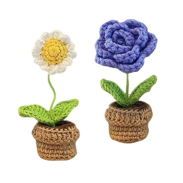 de ganchillo hecho a mano de 2 piezas para manualidades de ganchillo para principiantes para adultos y niños, incluye hilo, gancho, decoración interior de coche de oficina, Estilo C Gloria equipos de ganchillo
