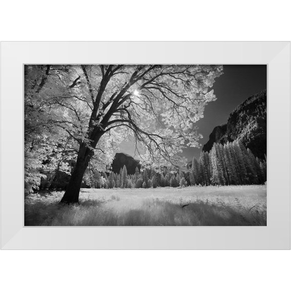 Jones, Adam 14x11 White Modern Wood Framed Museum Art Print Titled - Yosemite Valley in infrared black and white-Yosemite National Park-California