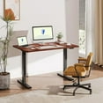 Standing Desk WholePiece Desktop 48 x 24 Inches Height Adjustable Desk