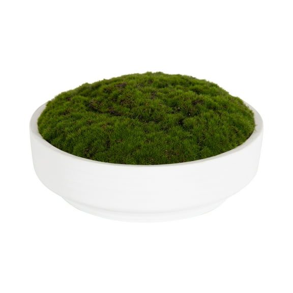 Better Homes & Gardens 8" Faux Moss in Ceramic Bowl