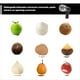 thumbnail image 2 of Abridor de Cocos Automático, Juego de Herramientas para Abrir Cocos, Perforador de Cocos de Acero, Herramienta Eléctrica para Abrir Cocos., 2 of 8
