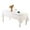 White, variant on Disposable Rectangular Plastic Tablecloth - Beautiful Party & Picnic Table Cover, Waterproof Oil-Resistant Plastic Tablecloth for Outdoor Gatherings & Indoor Events