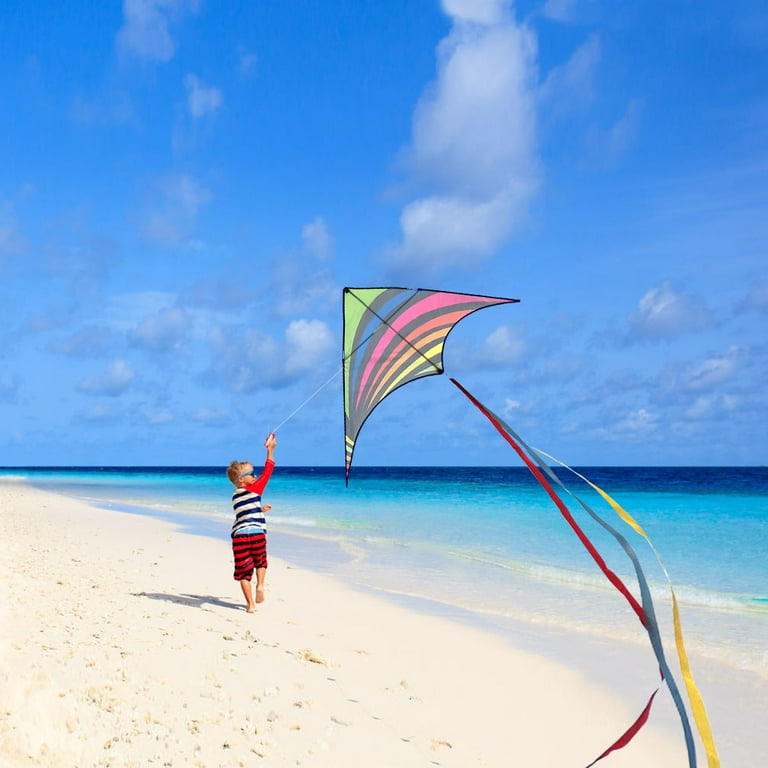 JEKOSEN 55 Delta Kite Large Kites For Kids And Ghana