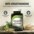 thumbnail image 5 of HealthA2Z – Ashwagandha 7000 mg with Magnesium Glycinate & Ergothioneine – 120 Capsules, 5 of 7