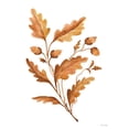 thumbnail image 2 of Jacobs, Cindy 19x24 Gold Ornate Wood Framed with Double Matting Museum Art Print Titled - Fall Leaf Stem I, 2 of 4