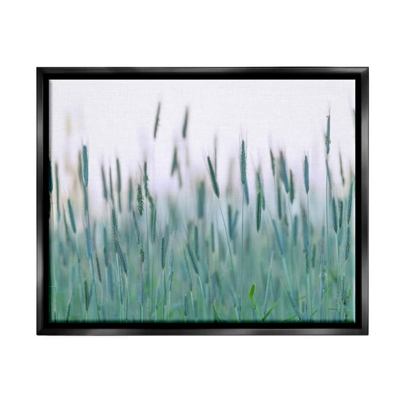 Green Wheat Field Sprigs Landscape Photograph Jet Black Framed Art Print Wall Art