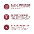 thumbnail image 4 of Purina ONE Microbiome Balance Beef & Rice Formula, Dry Dog Food 6.8kg, 4 of 9