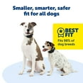 thumbnail image 5 of PetSafe Guardian GPS 2.0 Dog Fence + Tracking  Wireless Dog Fence with Reliable Dual Frequency GPS Tracking  Smaller Collar for All Breeds 10 lbs and Above  Subscription Required, 5 of 9