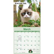 Grumpy Cat 2027 Mini Wall Calendar, (Paperback)