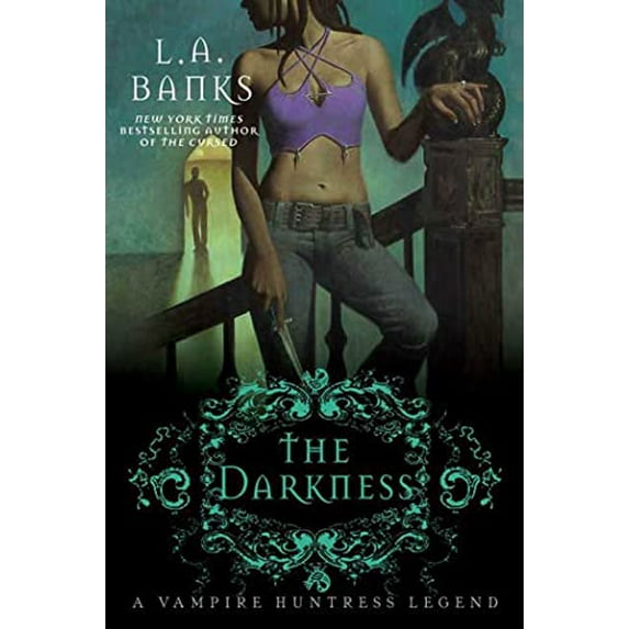 Pre-Owned The Darkness (Paperback) 0312368747 9780312368746