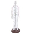 thumbnail image 1 of Acupuncture Model Human Body Model Full Body Acupuncture Practice Tool With Base Acupuncture Model Human Body Acupuncture Model Acupuncture Model With Base Full Body Acupuncture, 1 of 7