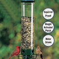 thumbnail image 2 of Djiypn Squirrel Proof Bird Feeder for Outdoors, 6lb Seed Capacity | Weight-Activated Rotating Perch,Stabilized Seed Tube, Hanging Bird Feeder for Finch Cardinal Chickadee, 2 of 7