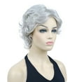 thumbnail image 6 of Women's Short Curly Wavy Wig Synthetic Hair Full Wig for Daily Use, 6 inches, Silver Grey, 6 of 11