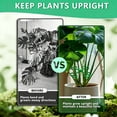 thumbnail image 3 of Ohmyroo Greenery Support Rack Set 4-Sizes Folding Stand For Flora, 3 of 5