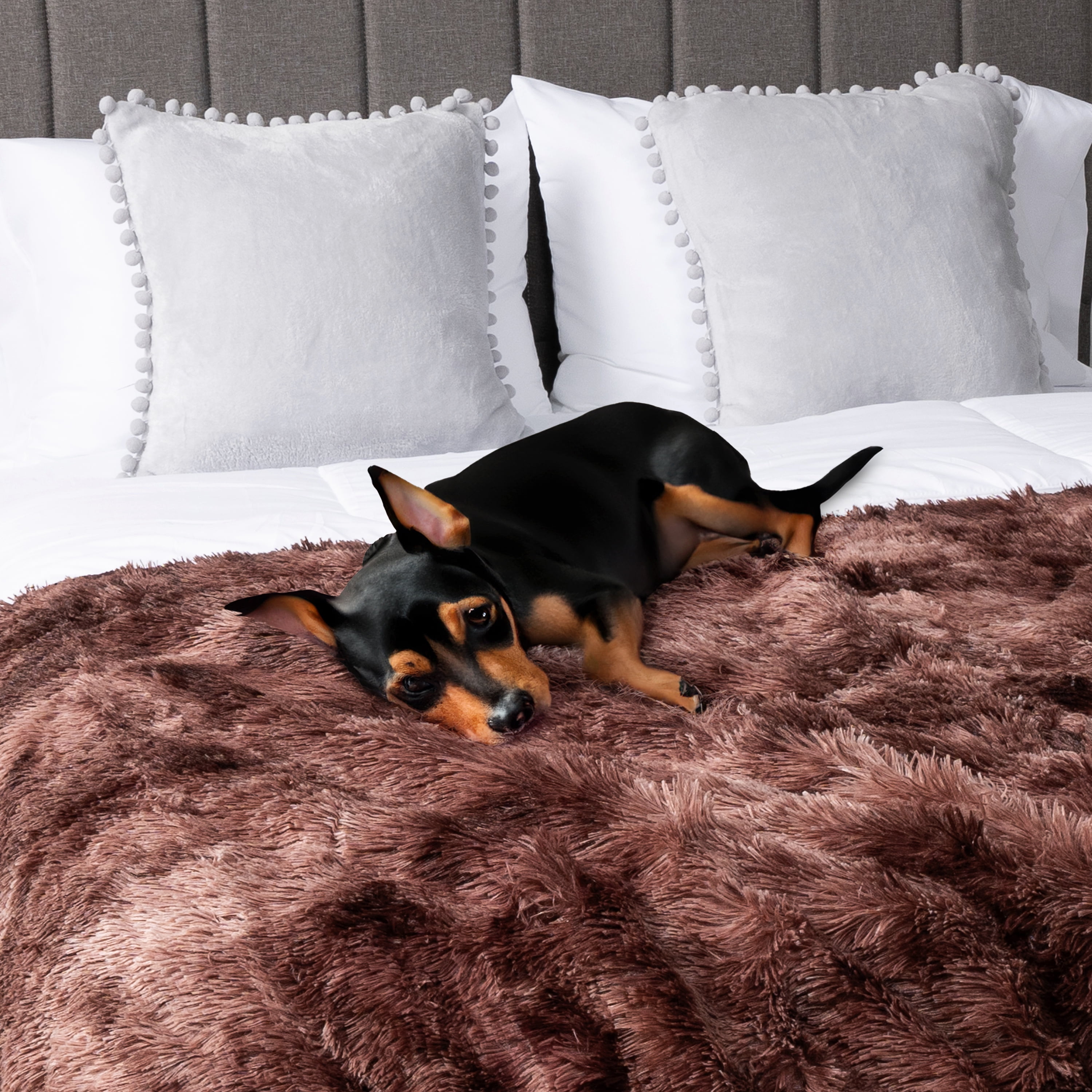 PAVILIA Brown Fluffy Throw Blanket for Couch, Twin Bed, Fuzzy Blanket for Women Men, Furry Plush Warm Blanket Bed Sofa, Super Soft Thick Faux Fur Sherpa Blanket Throw, Tie-Dye, 60x80