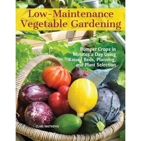 Low-Maintenance Vegetable Gardening : Bumper Crops in Minutes a Day Using Raised Beds, Planning, and Plant