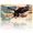 Bald Eagle in Flight over Map with American Flag Elements, variant on 1 Pcs License Plate Covers & Frames, Skull - Helmeted Biker on Motorcycle with American Flag For Decorative Front, Aluminum License Plate Covers & Frames Cover For Men Women, 12" X 6"