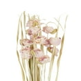 thumbnail image 4 of 49" Tall Dried Plant Natural Foliage Bouquet with Pink Petals, by DecMode, 4 of 9