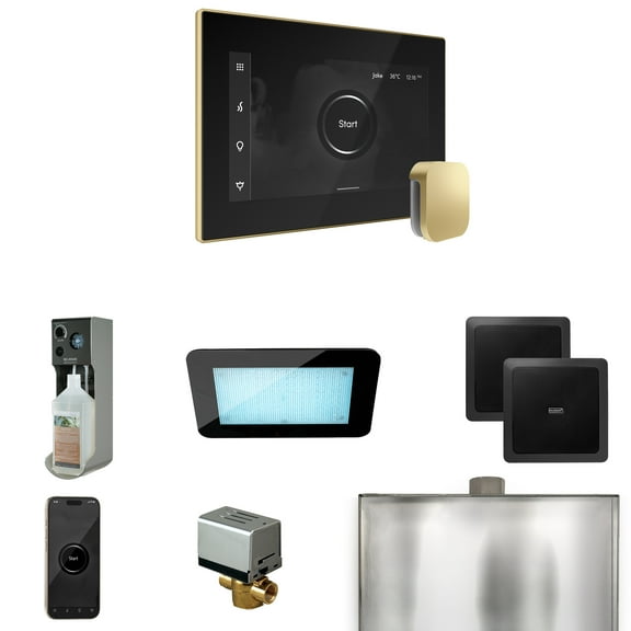 Mr Steam XDream Steam Shower Ctrl Pkg w/iSteamX Control and Steamhead in Black Satin Brass