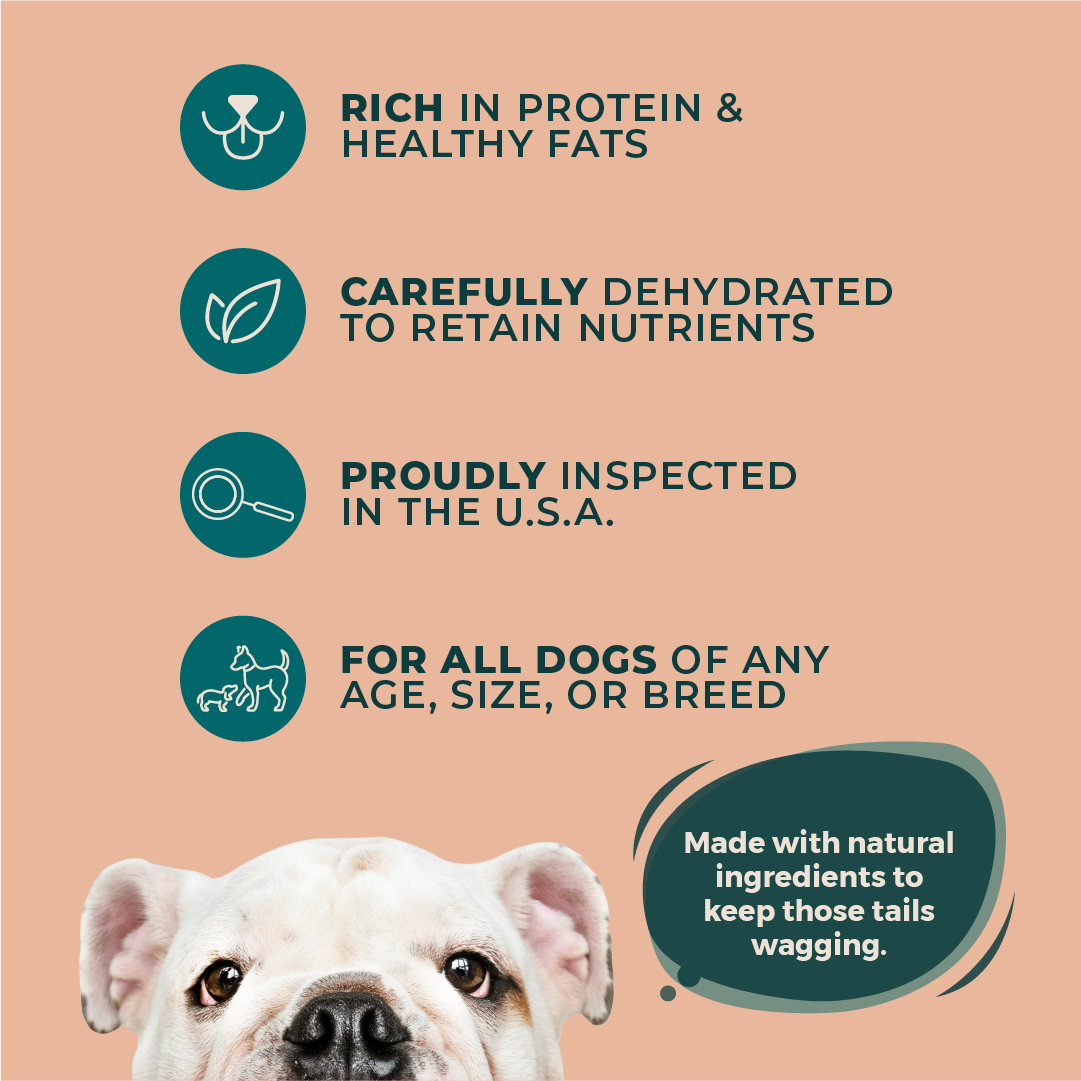 Natural Goose (Geese) Meat Strips Dog Treats - 25 Pack