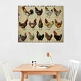 thumbnail image 2 of Orinice Retro Metal Knowledge Graph Breeds of Chickens  School Home Education Classic Plaque Outdoor Farm Club Wall Decor Aluminum Signs 16x12in, 2 of 6