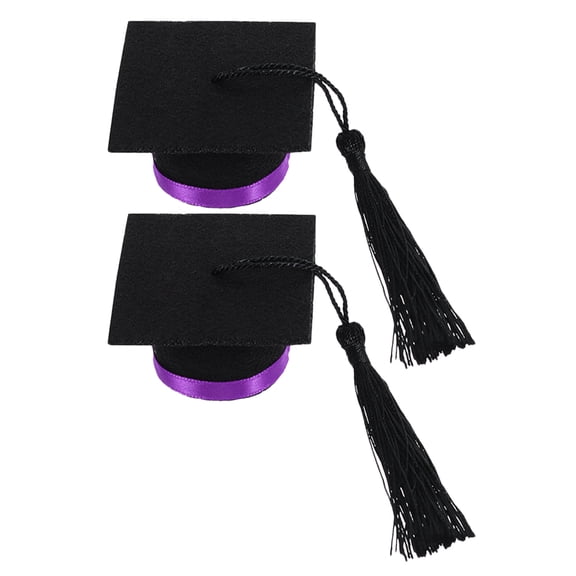 NIAIZEK 2Pcs Purple Felt Graduation Hat Bottle Covers with Tassels for Festive Party Bottle Decoration