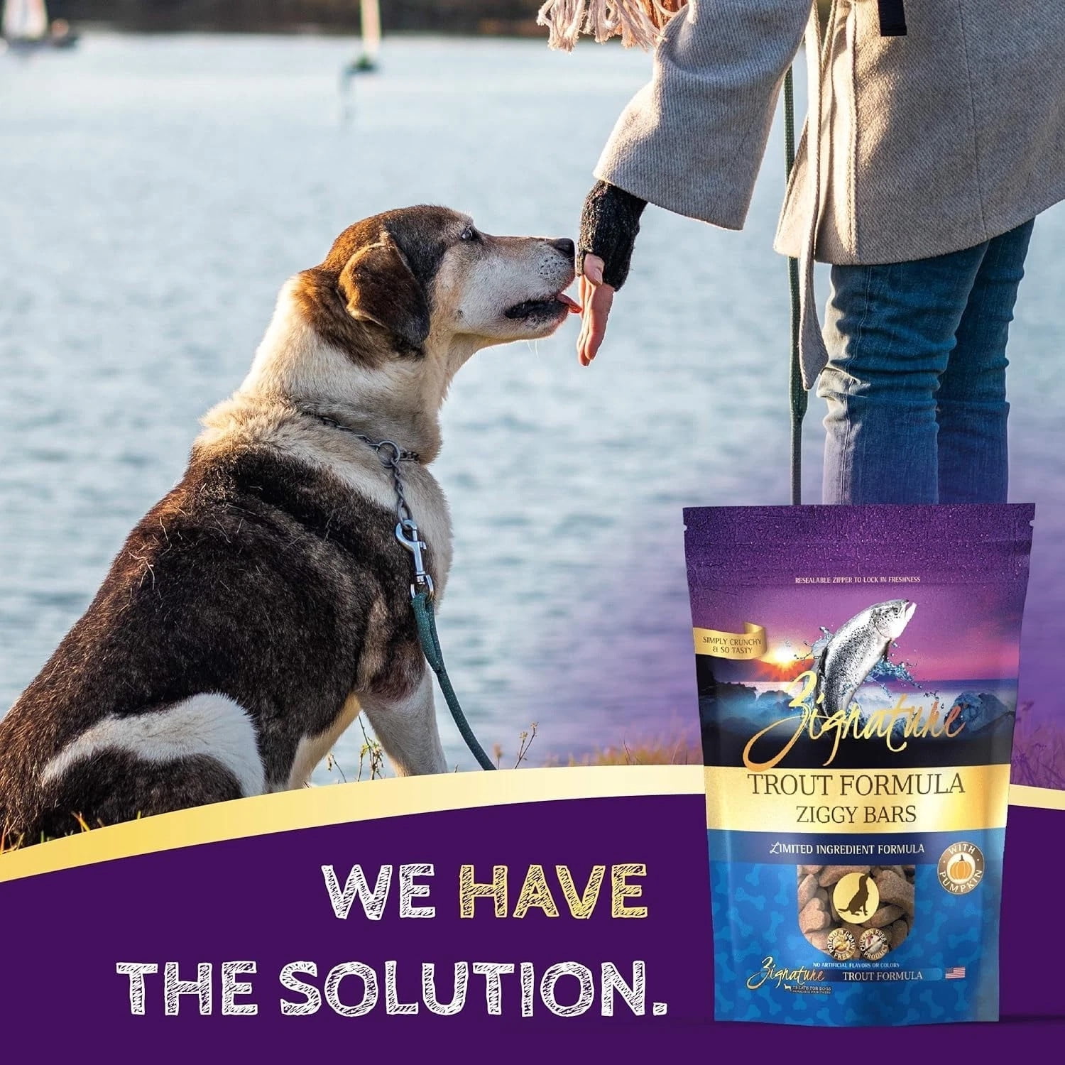 Zignature Limited Ingredient Ziggy Bar Dog Biscuits: 1 Turkey, 1 Lamb & 1 Trout